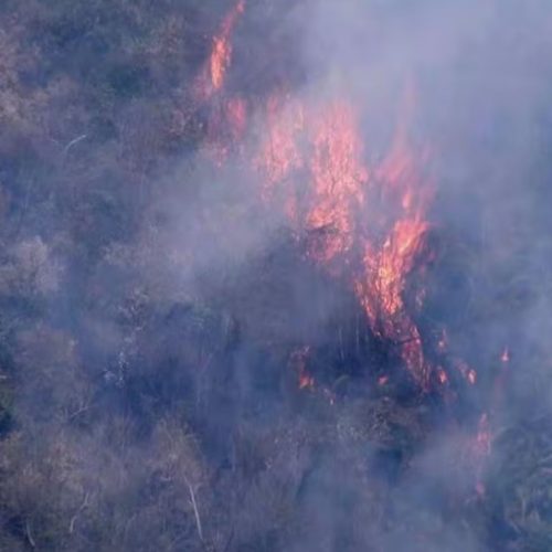 Secretaria de Meio Ambiente anuncia fechamento de parques por causa de incêndios no RJ